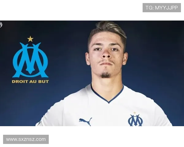 维蒂尼亚职业轨迹