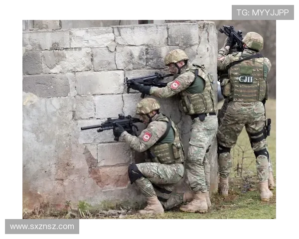 防线前第一道屏障：帕利尼亚的战术价值